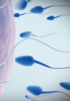 Spermogramm für niedrige Potenz