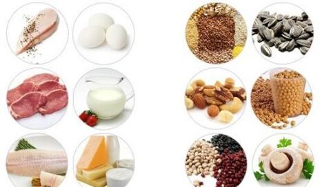 Produkte mit hohem tierischem und pflanzlichem Proteingehalt für die männliche Potenz